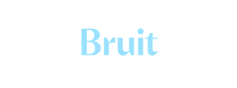 Bruit