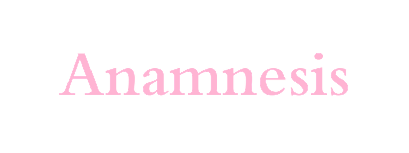 Anamnesis